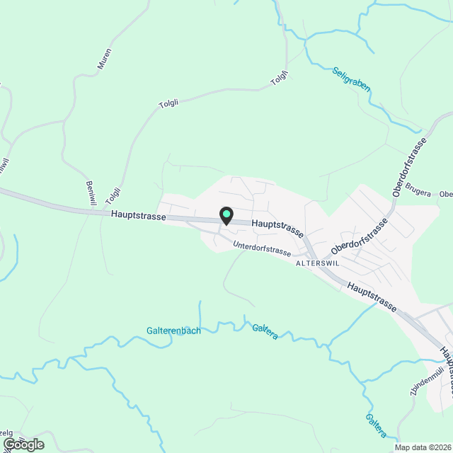 Erstvermietung! 3.5-Zimmer-Neubauwohnung in Alterswil - Karte