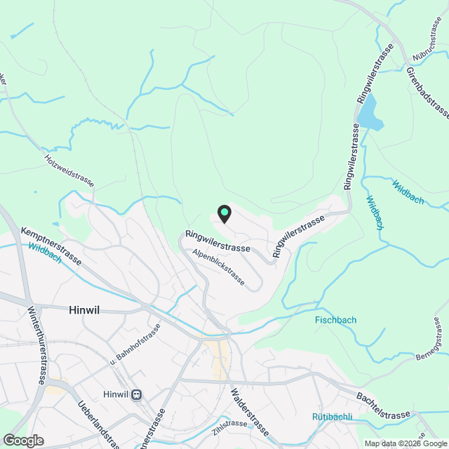 Moderne 3.5-Zimmer-Neubau-Wohnung in Hinwil-Ringwil - Karte