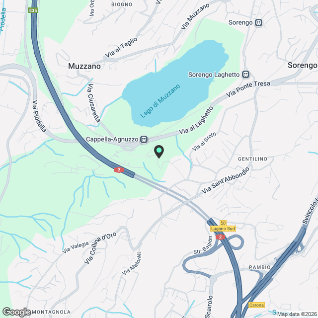 ESCLUSIVO 4.5 LOCALI AL PIANO TERRA CON GIARDINO PRIVATO A GENTILINO - Karte