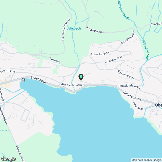 Newly built exclusive 2.5-Room Apartment with Panoramic Lake View & Private Lake Access – Oberägeri - Karte