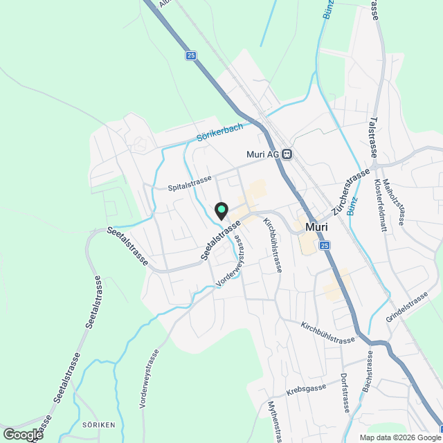 Moderne 5.5-Zimmer-DEFH in Muri AG - Neubau 2025 - Karte