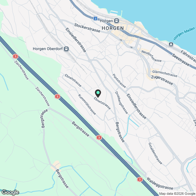 Erstvermietung 4.5-Zimmer-Reihen-Mittelhaus in Horgen - Karte