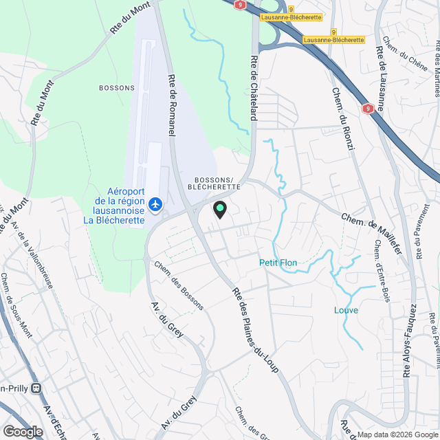 2 pièces entièrement rénové ! - Karte