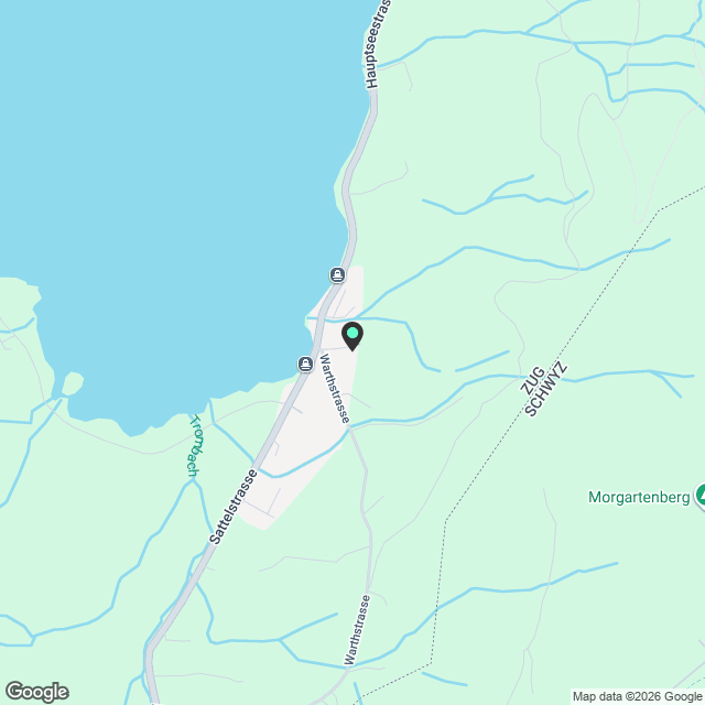 4 1/2 Wohnung in Oberägeri mit Seesicht - Karte