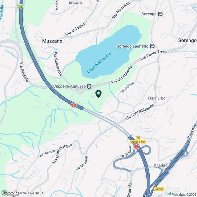 ESCLUSIVO 4.5 LOCALI AL PIANO TERRA CON GIARDINO PRIVATO A GENTILINO - Karte