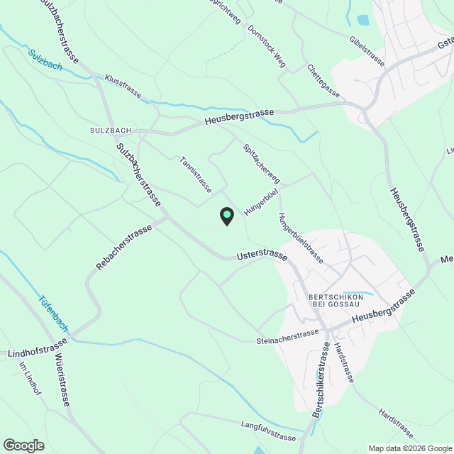 Moderne 5.5-Zimmer-Duplex-Wohnung in Bertschikon (Gossau ZH) - Karte