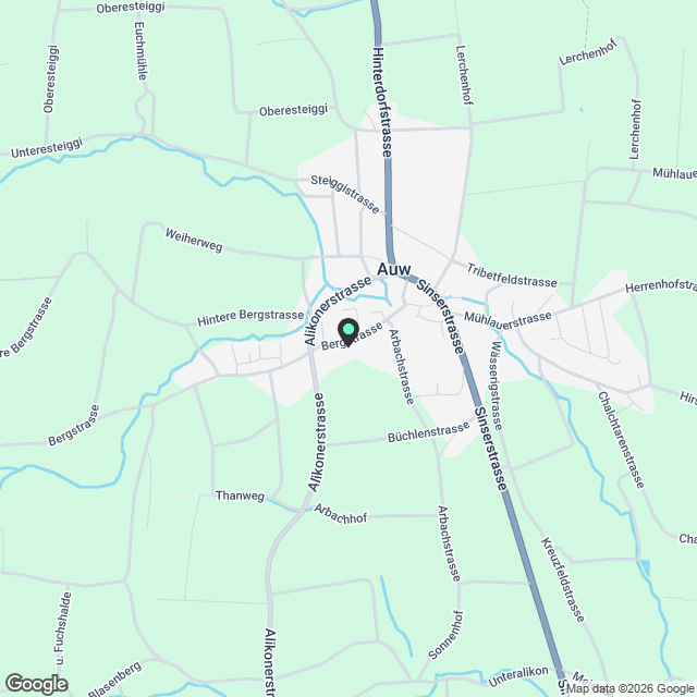 Moderne 2.5-Zimmer-Dachwohnung mit Terrassen in Auw - Karte