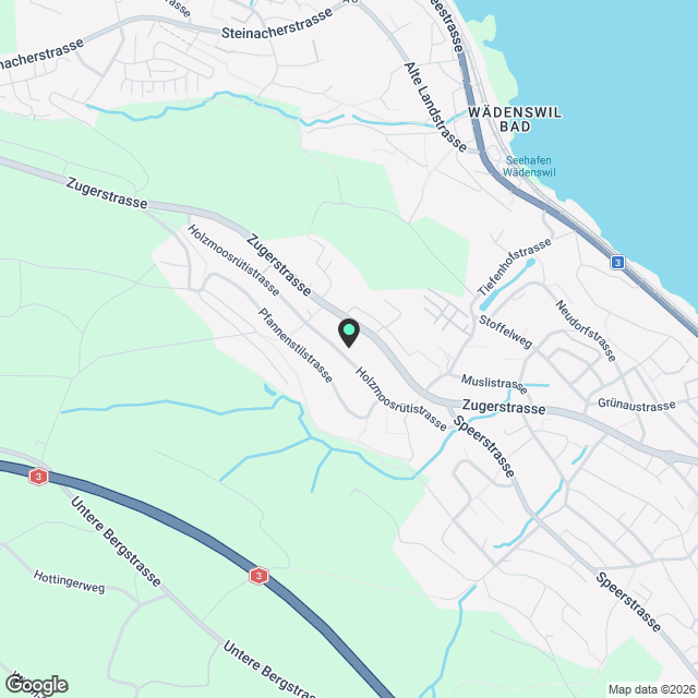 Moderne 4.5-Zimmer-Wohnung mit Seeblick in Wädenswil - Karte