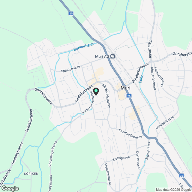 Moderne 3.5-Zimmer-Dachwohnung in Muri AG - Neubau 2026 - Karte