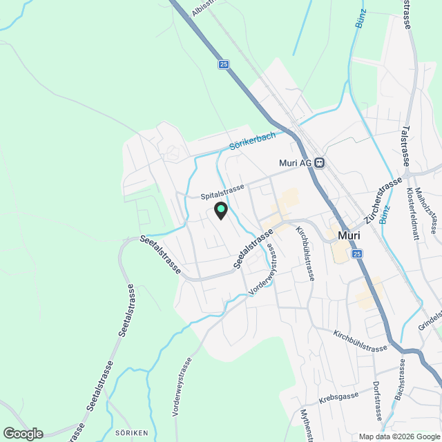 2.5-Zimmerwohnung EG in Muri AG - Karte