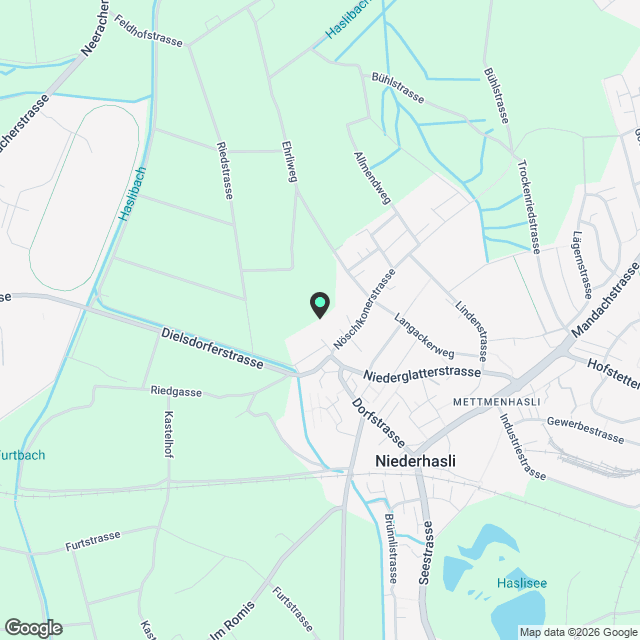 NEUBAUPROJEKT in Niederhasli - Karte