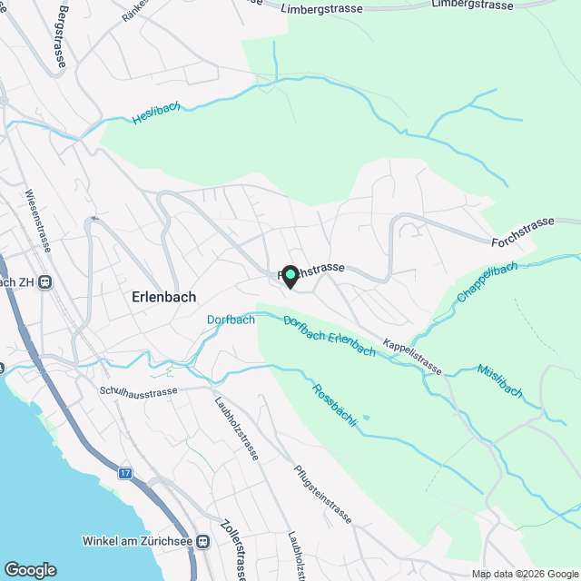3.5 Zimmerwohnungen im 1. OG am Südhang mit Seesicht - Karte