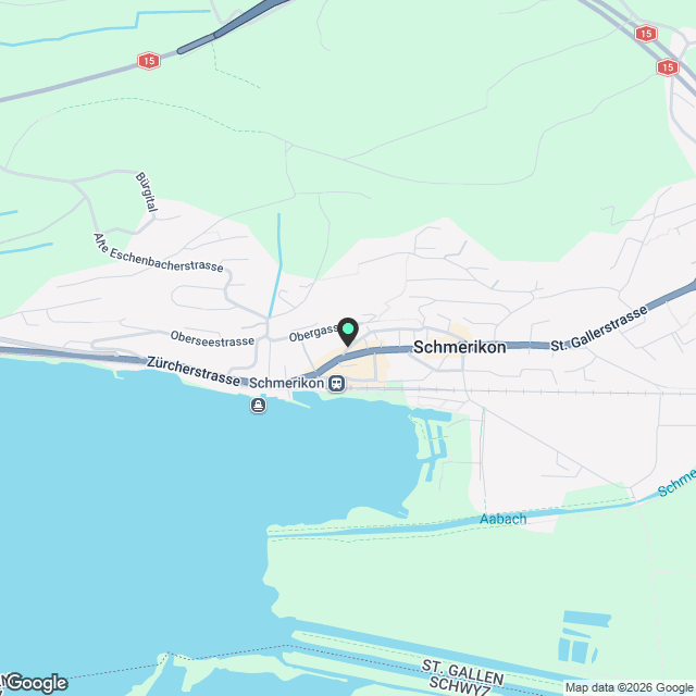 Moderne 4.5-Zimmer-Neubau-Wohnung mit Bergblick in Schmerikon - Karte