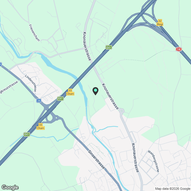 Moderne 2.5-Zimmer-Neubau-Wohnung mit Balkon in Cham - Karte