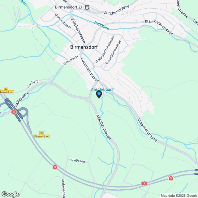 Wunderschöne 4.5 Gartenwohnung in Birmensdorf Zürich - Karte