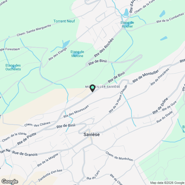 Magnifique 3.5 pièces neuf avec jardin privatif - Savièse - Karte