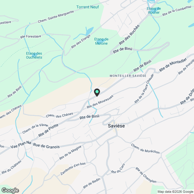 Magnifique 3.5 pièces neuf avec jardin privatif - Savièse - Karte