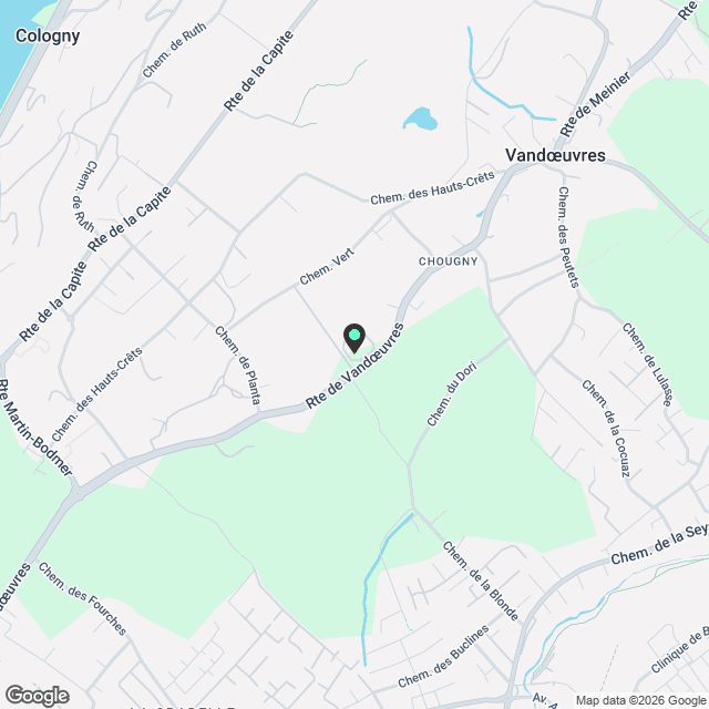 Appartement de 5 pièces dans immeuble neuf de haut standing à Vandoeuvres - Karte