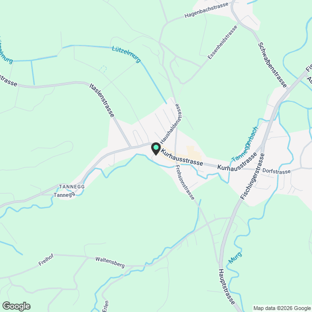 Tanneggerpark 3.5 Zimmer-Neubauwohnung - Karte