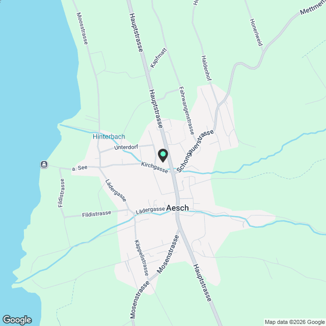 Moderne 2.5 Zimmerwohnung in Aesch zu vermieten! - Karte