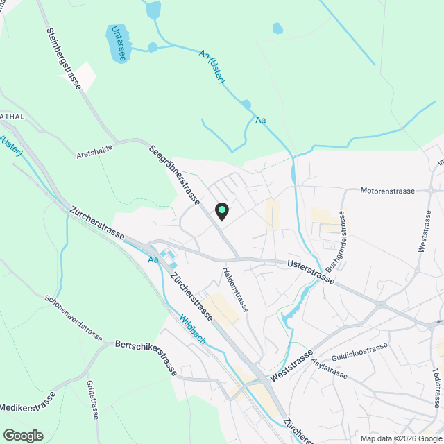 Moderne 3.5-Zimmer-Neubau-Wohnung mit Balkon in Wetzikon - Karte