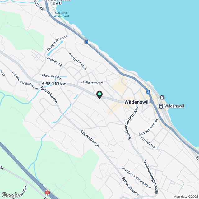 Wohnung in Wädenswil am See - Karte