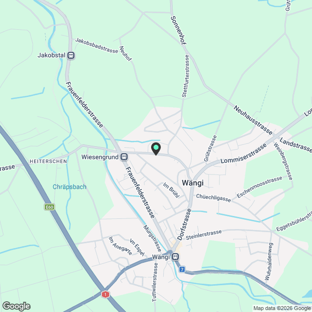 Stilvolle 3.5-Zimmer-Maisonette im Neubau – modernes Wohnen mit Charme in Wängi - Karte