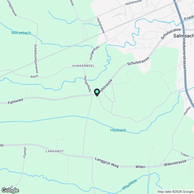 3.5-Zimmer-Terrassenwohnung im Erdgeschoss eines modernen Minergie-Neubauses in Salmsach - Karte