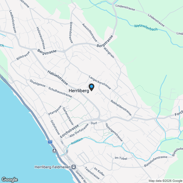 Neubauprojekt in Herrliberg - Karte