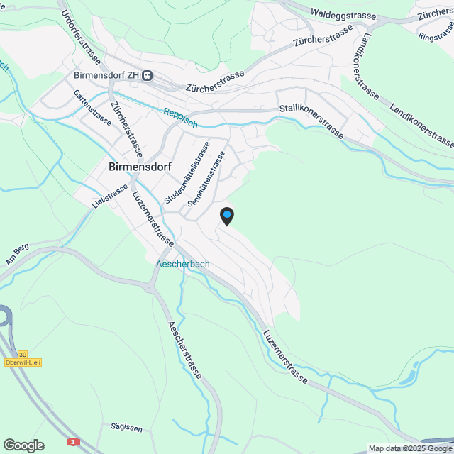 5 Eigentumswohnungen in Birmensdorf - Karte