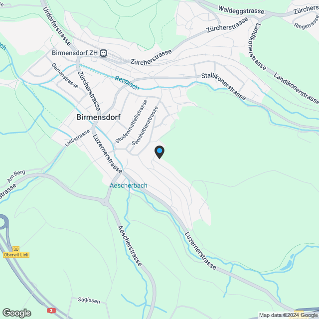hochwertige 2.5-Zimmer-Wohnung in Birmensdorf - Karte