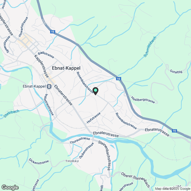 2.5 Zimmerwohnung in Ebnat-Kappel - Karte