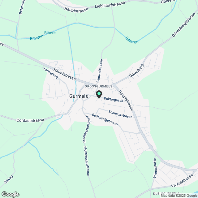 Sonnige 4½-Zimmer-Wohnung im EG in ruhigem, familienfreundlichem Quartier - Karte