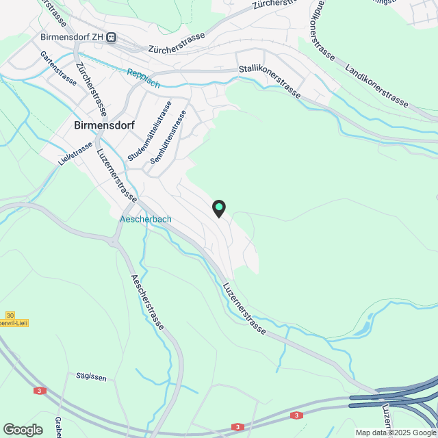 Luxurious 5.5-Room Duplex Apartment in Birmensdorf ZH - Karte