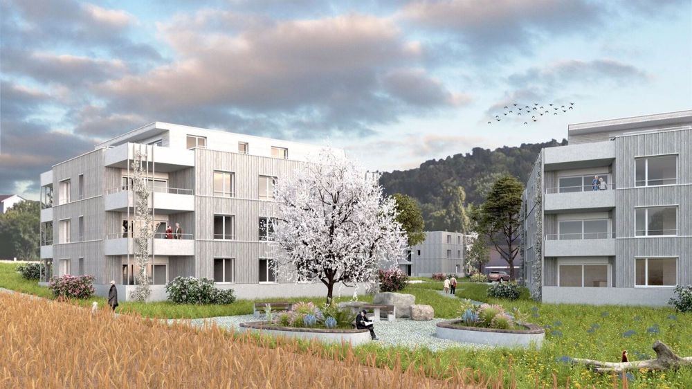 3 ½ Zimmer-Wohnung in Winterthur mieten - Bild 2