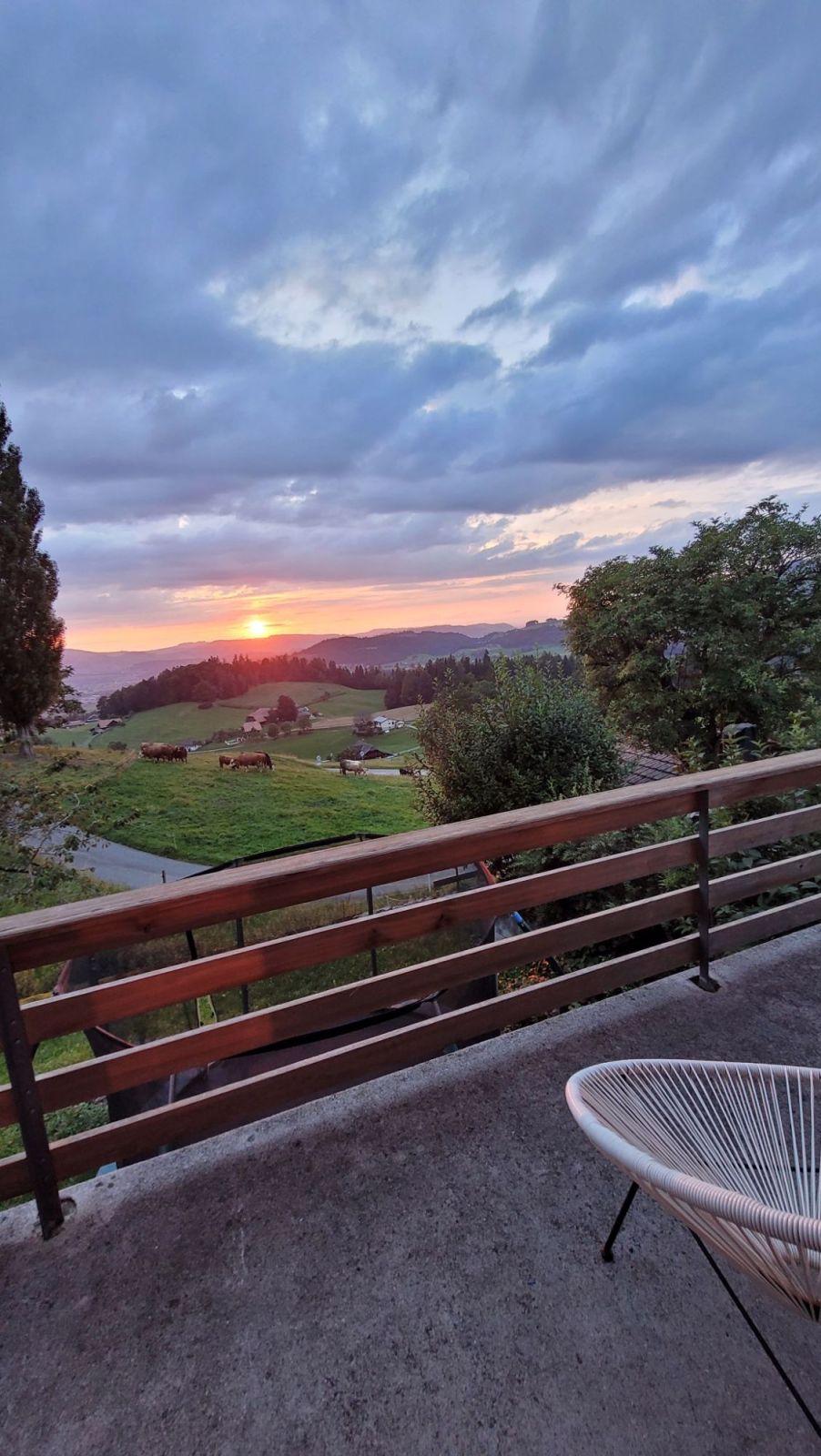 2.5 Zimmer Neubau-Wohnung mit grosser Terrasse - Bild 2