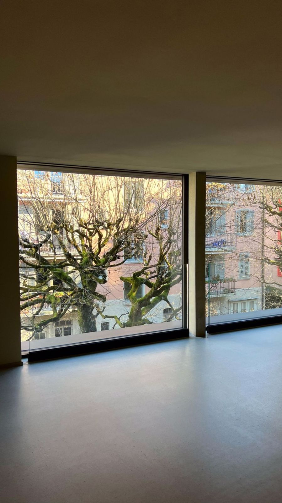 2 ½ Zimmer-Wohnung in Zürich mieten - Bild 1