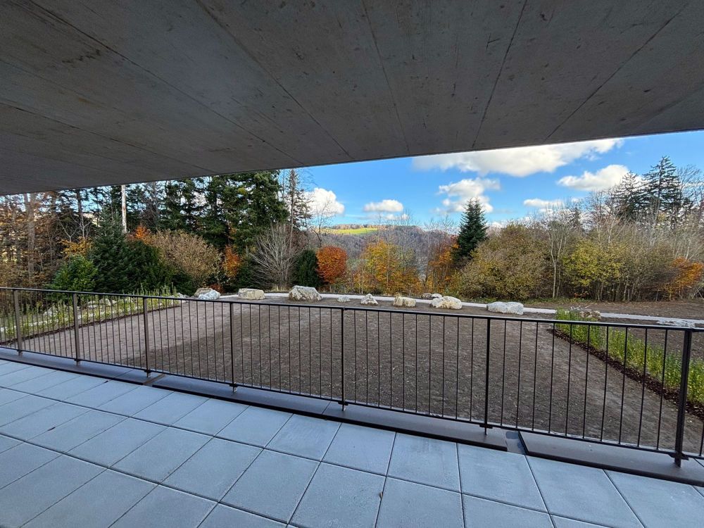 NEUBAU: 4.5-Zimmer-Wohnung mit 41m2 Terrasse und Blick ins Grüne - Bild 1