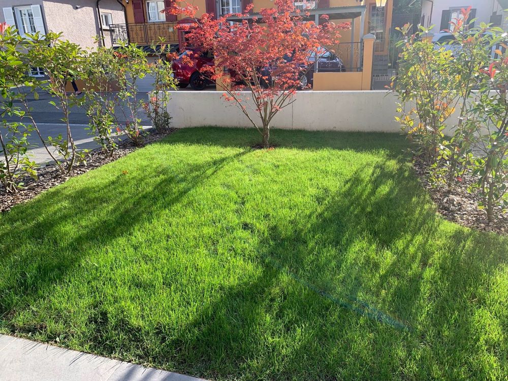 Moderne 2,5-Zimmer-Wohnung mit Terrasse in Yverdon-les-Bains - Bild 5