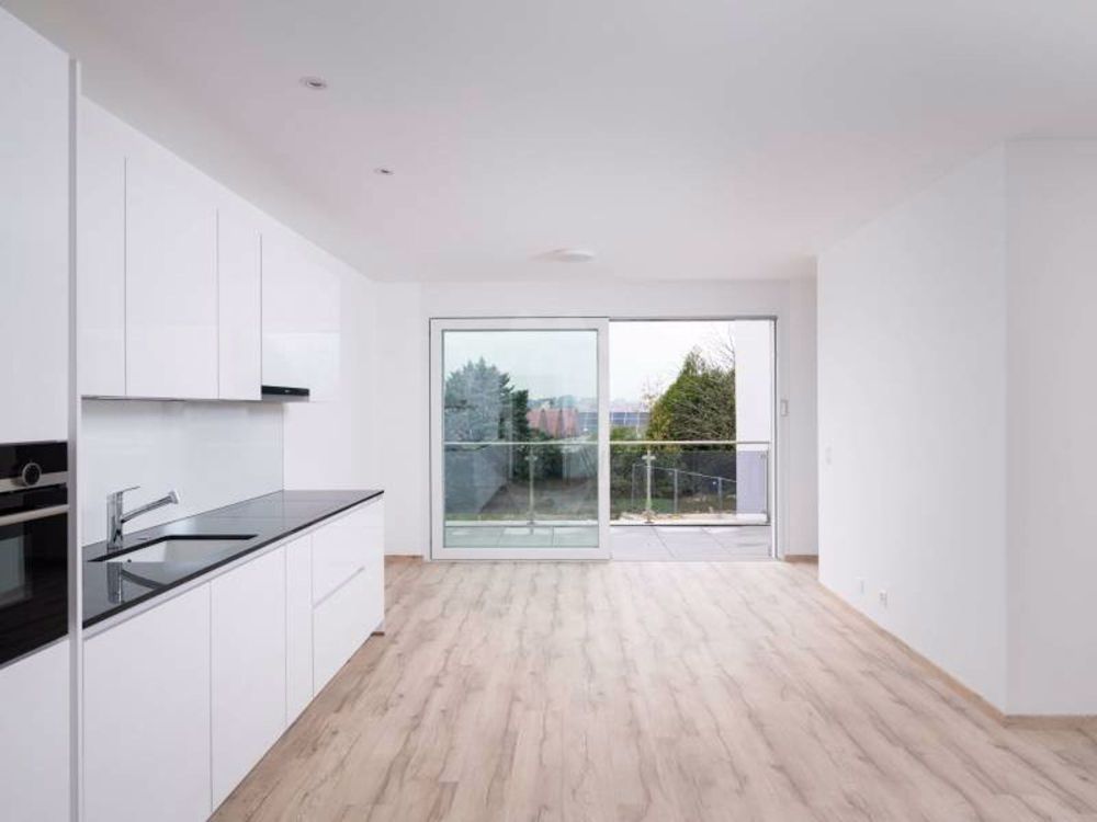 5 Zimmer-Wohnung in Grand-Lancy mieten - Bild 3
