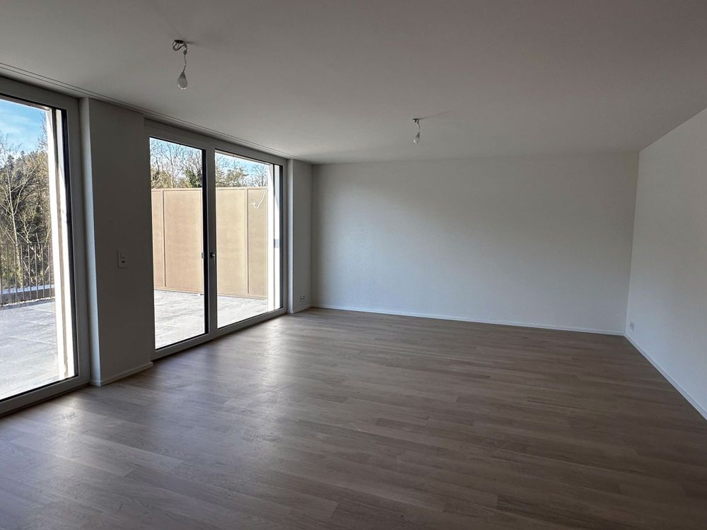 Erstvermietung - Tolle 4.5-Zimmer-Attikawohnung mit grosser Terrasse und Blick ins Grüne - Bild 5