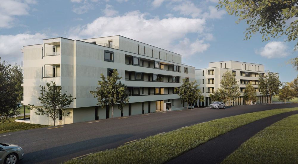 PALEAS - Verwurzelt in der Region - Bild 4