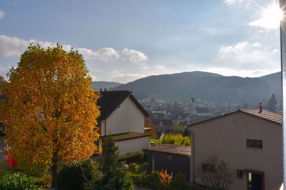 TOP renovierte Wohnungen an bester Lage mit schöner Aussicht ins Grüne - Bild 10