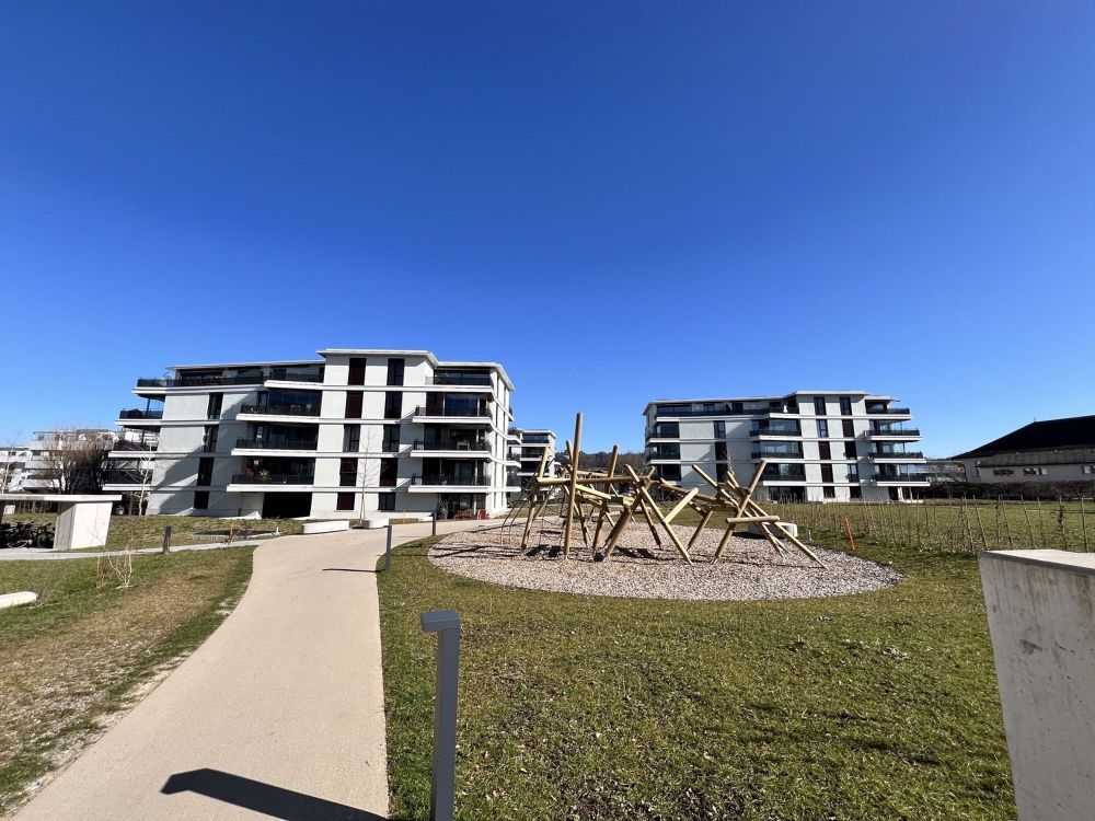 «Baumpark» Wohnen in parkartiger Landschaft in Pfäffikon ZH - Bild 1