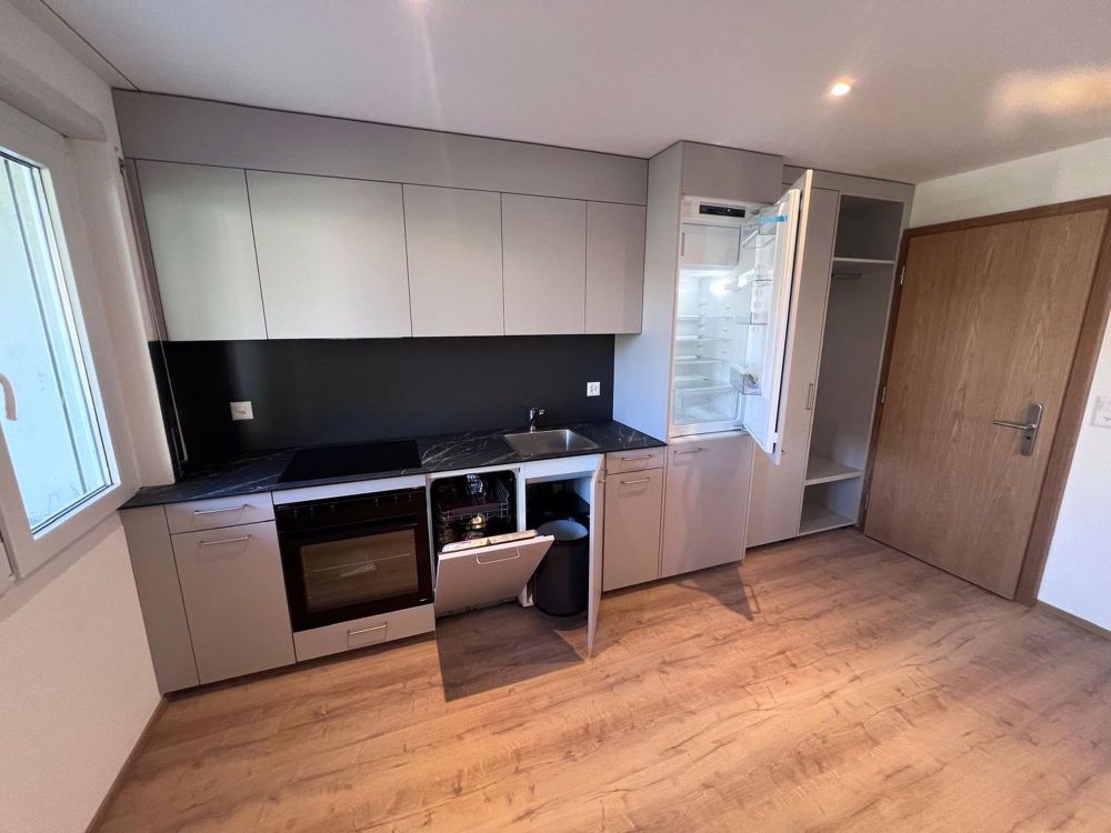 2.5 Zimmerwohnung - Erstbezug nach Renovation - Bild 1