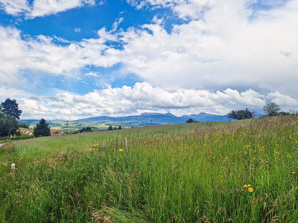 MAGNIFIQUES VILLAS NEUVES PROCHE COMMODITES ET ECOLES - Bild 2