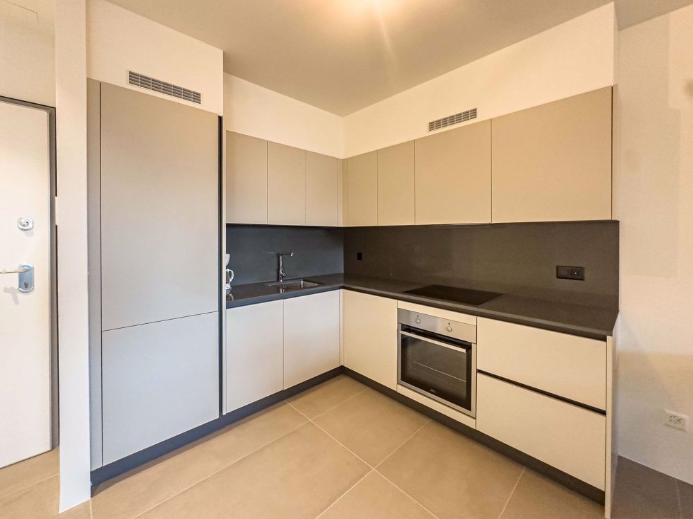 2,5 Zimmerwohnung mit Garten in Viganello - Bild 3