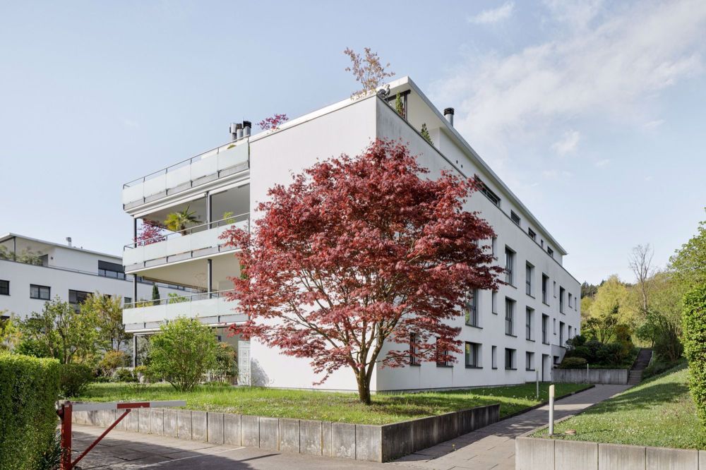 5 ½ Zimmer-Attikawohnung in Thalwil mieten - Bild 1