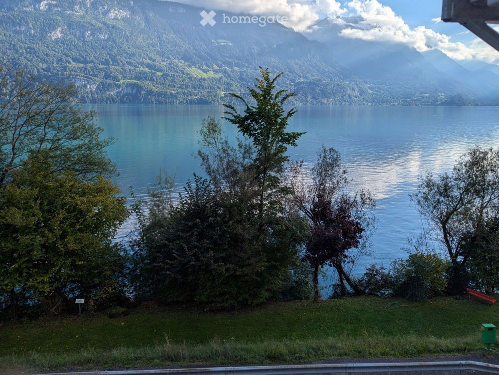 Erstvermietung einer grossen Wohnung am See - Bild 1