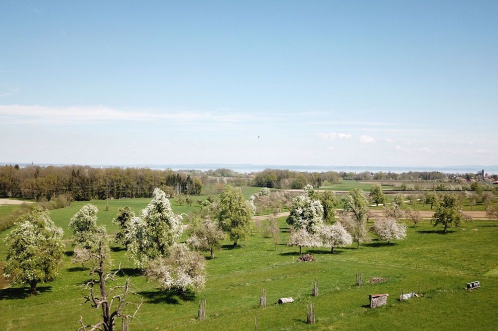 AUGARTEN - Wohnen im Einklang mit der Natur - Umgebung
